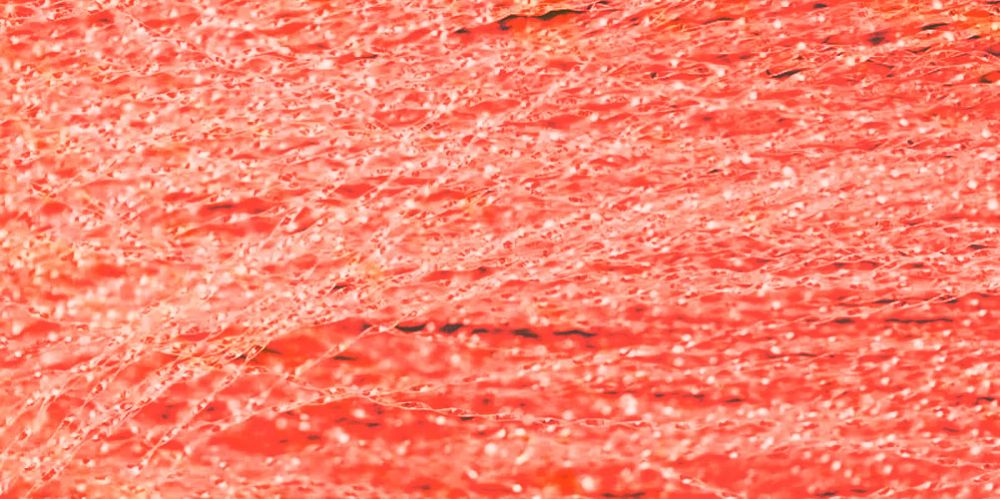 Immagine di Textreme Crystal Flash