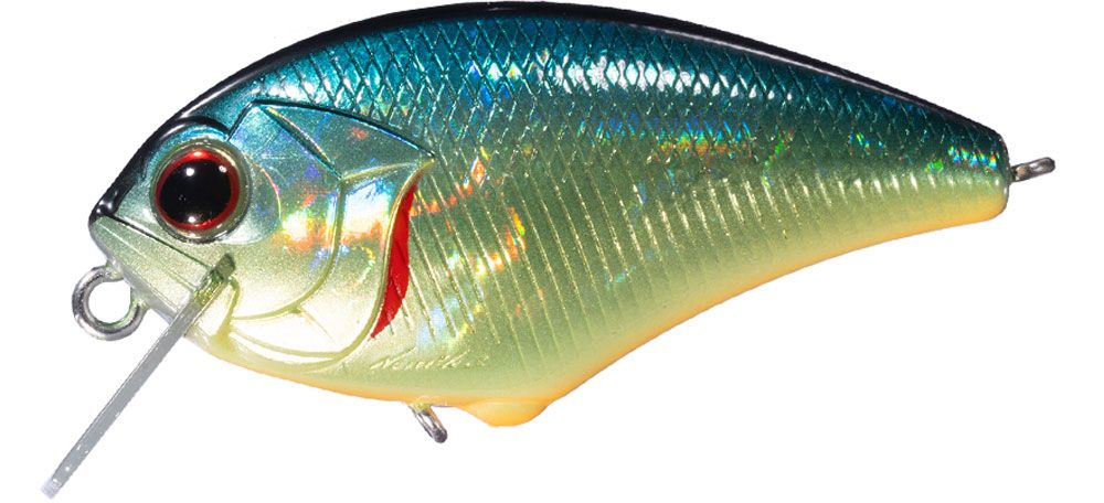 Imagen de O.s.p. Blitz SSR