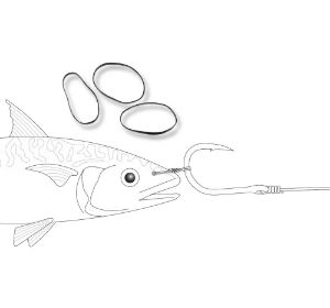 Picture of Stonfo Catalina Needle