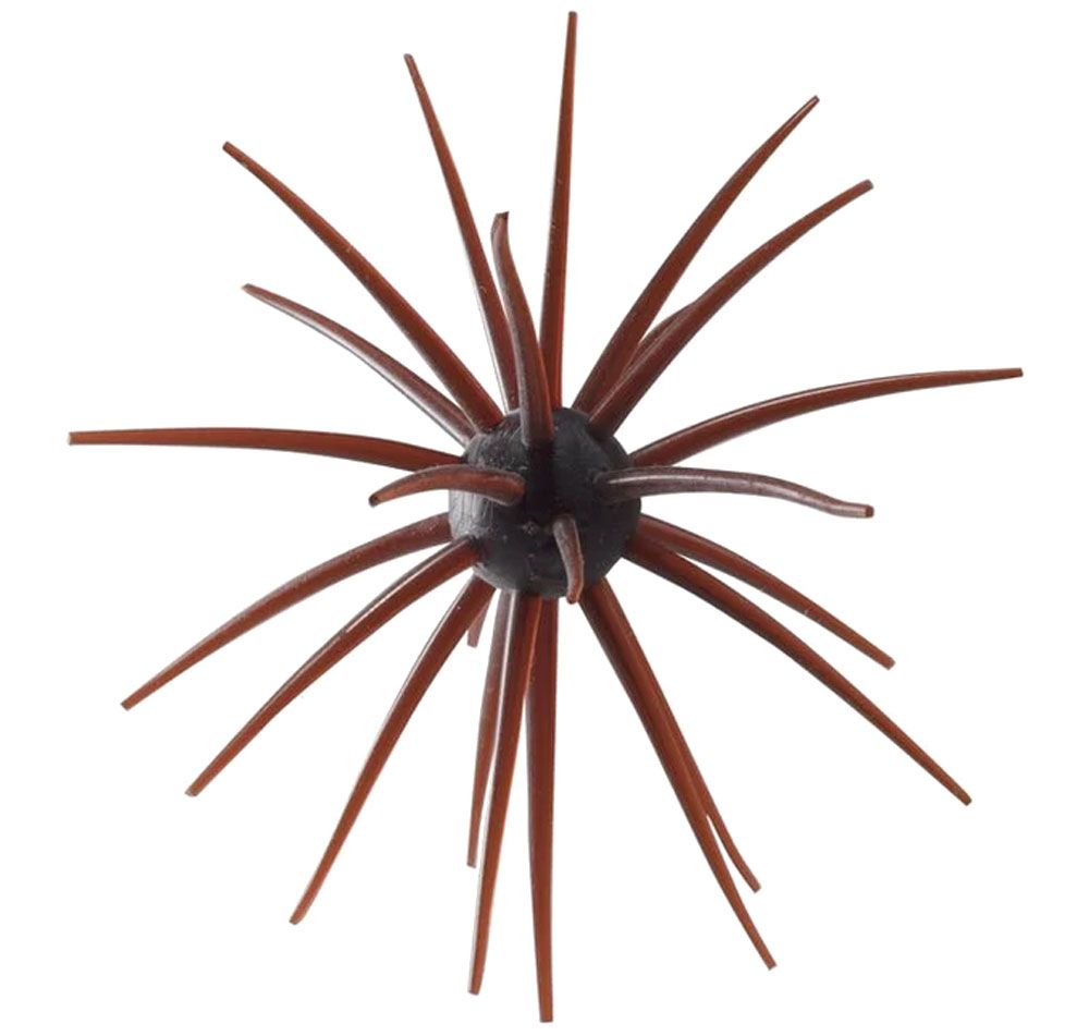 Bild von Hideup Coike