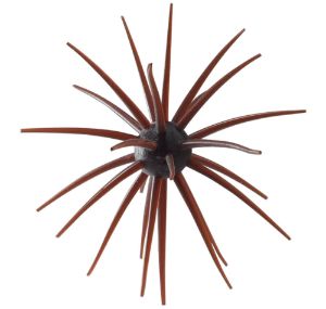 Bild von Hideup Coike