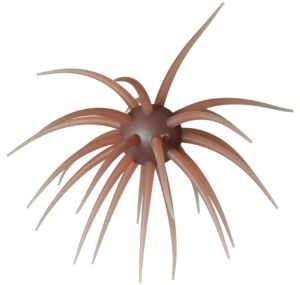 Picture of Hideup Coike