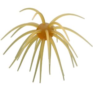 Picture of Hideup Coike