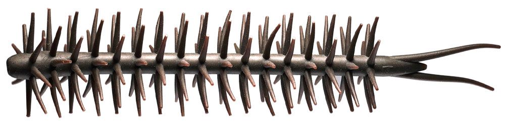 Image de Hideup Worm Coike Straight Elastomer