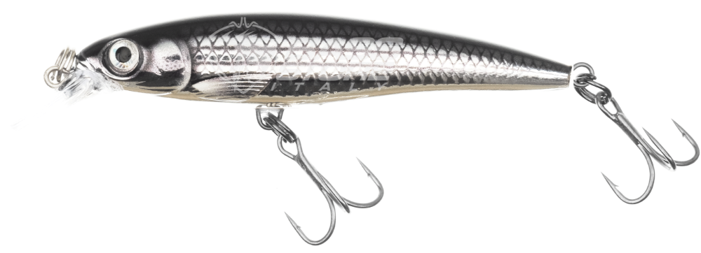 Rapala Saltwater X-Rap MUL - Live Mullet Rapala