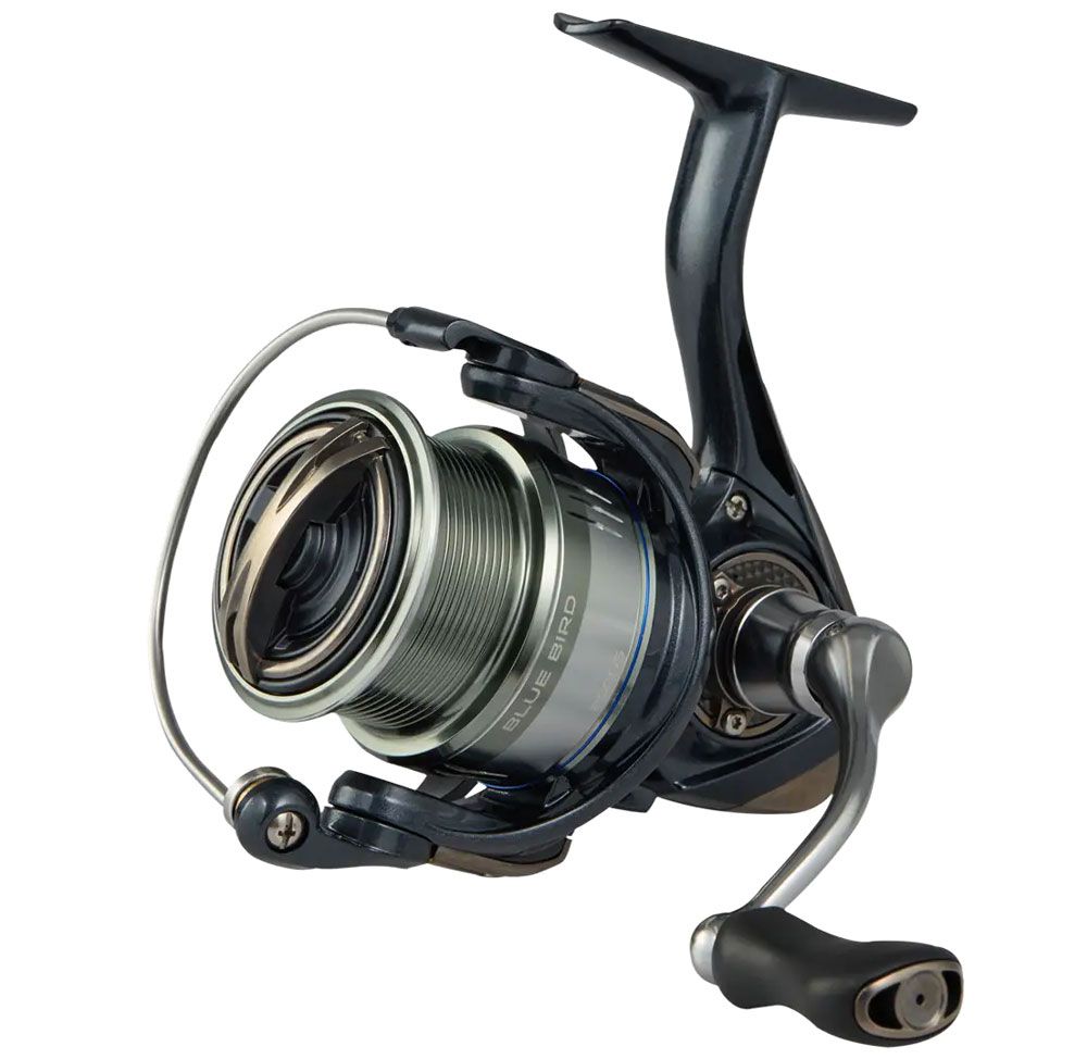 Image de Favorite Blue Bird Spinning