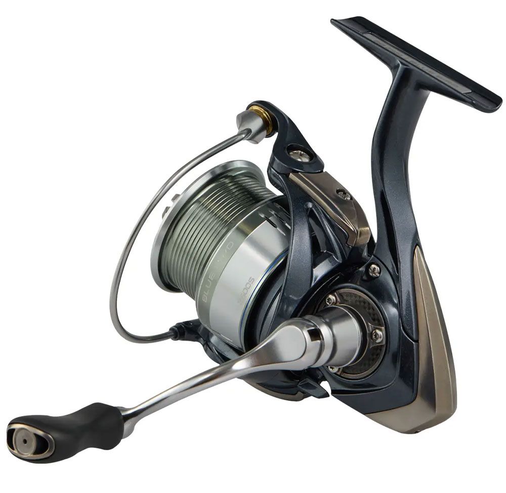 Image de Favorite Blue Bird Spinning