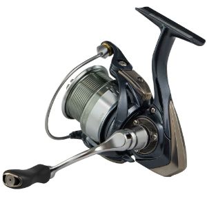 Image de Favorite Blue Bird Spinning