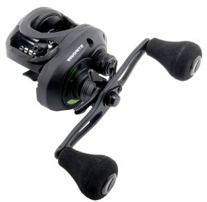 Imagen de Favorite X1 Casting