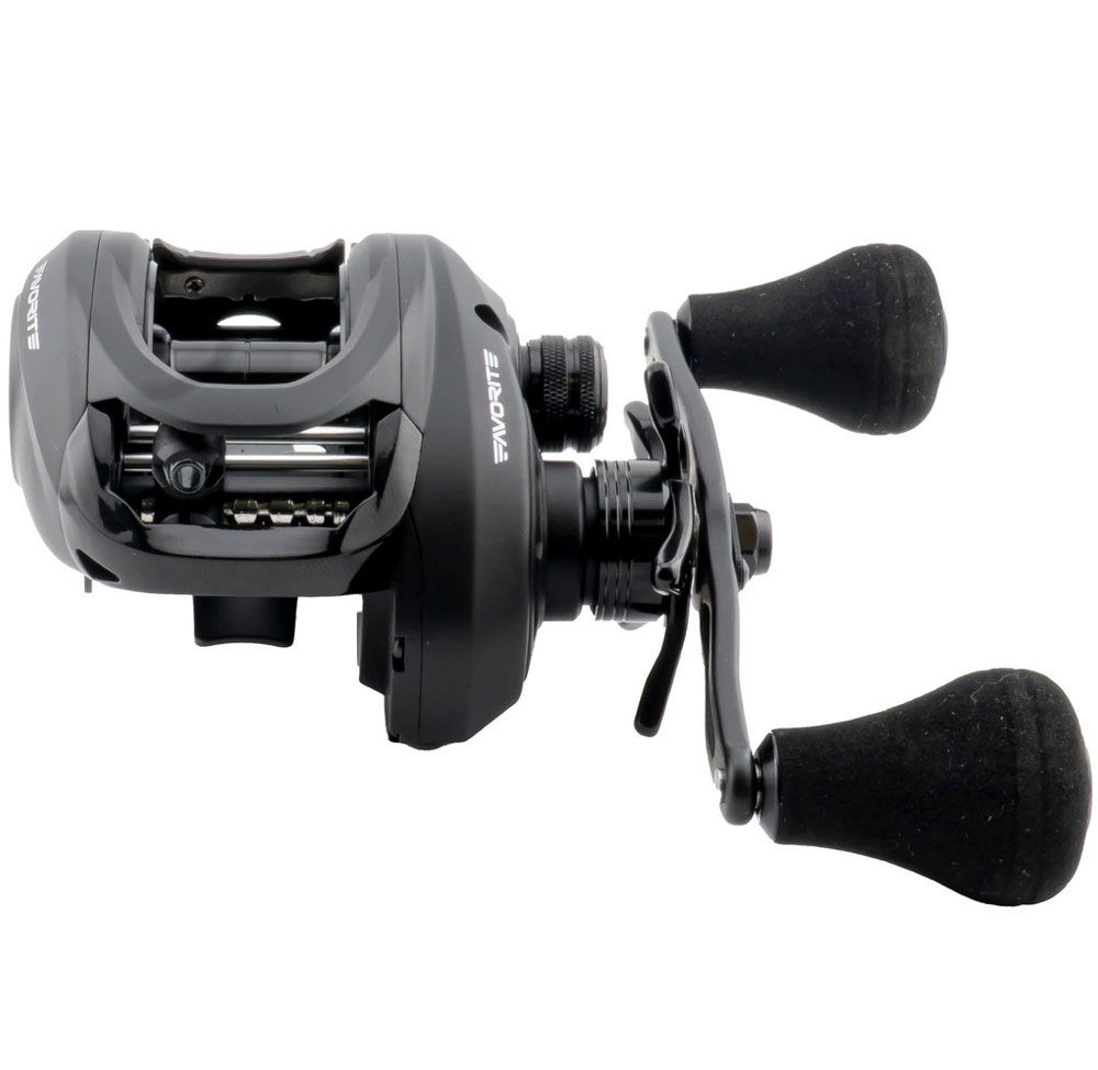 Imagen de Favorite X1 Casting