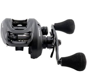 Imagen de Favorite X1 Casting