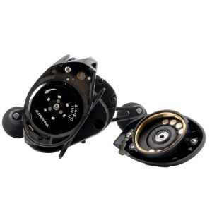 Imagen de Favorite X1 Casting