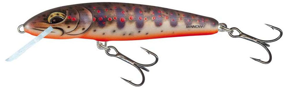 Bild von Salmo Minnow