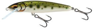 Bild von Salmo Minnow