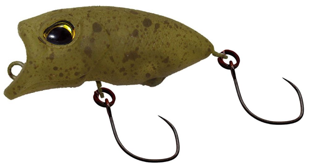 Bild von Valkein Riola 