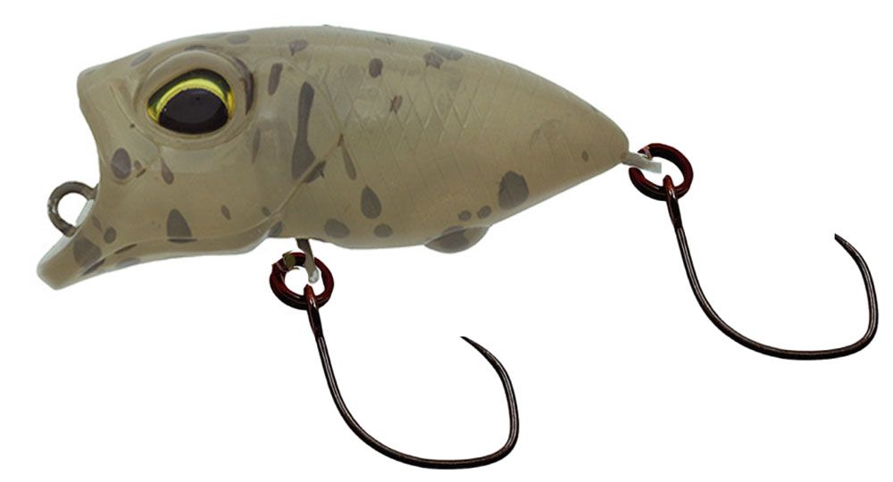 Bild von Valkein Riola 