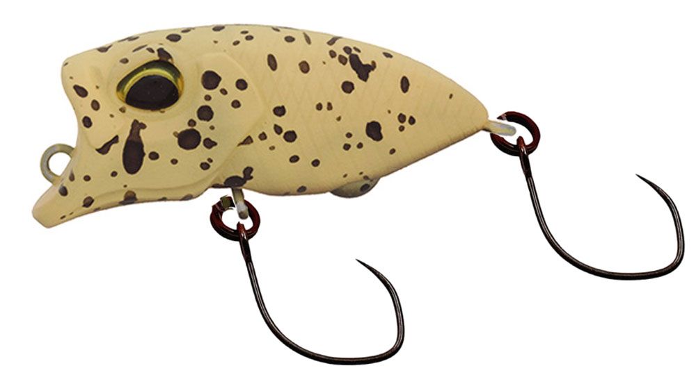 Bild von Valkein Riola 