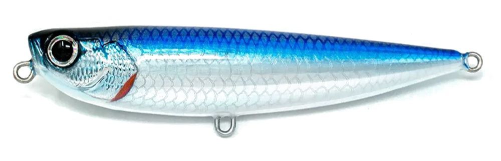 Picture of Jack Fin Salty Dog 85