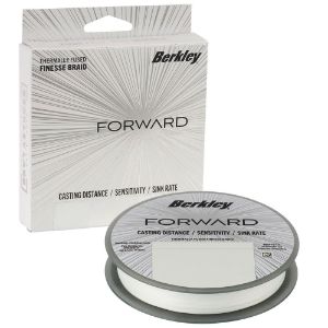 Immagine di Berkley Forward