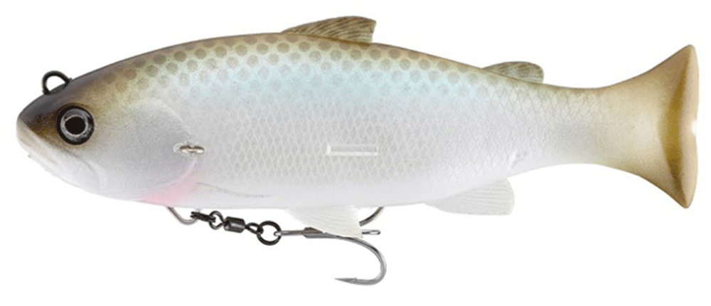 Imagen de Jackall Bros Vividus