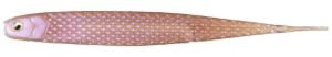 Raid Japan Super Fish Roller #072 Stealth Fish Raid Japan