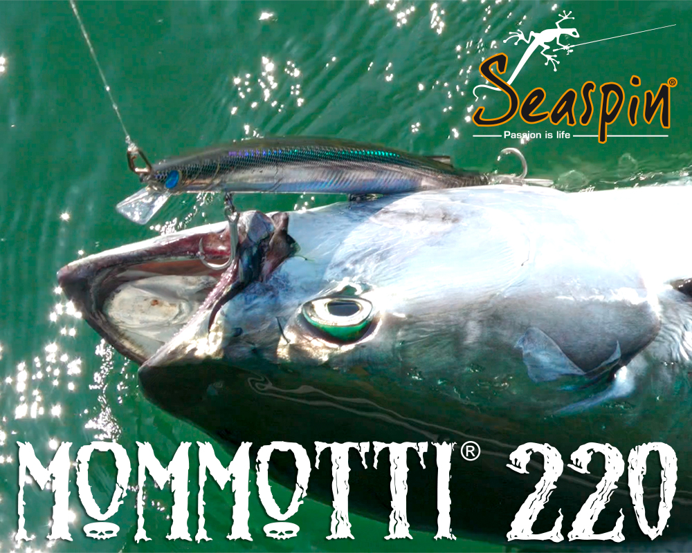 Immagine del prodotto Seaspin Mommotti 220