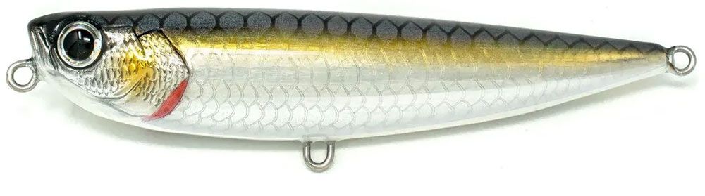 Picture of Jack Fin Salty Dog 85