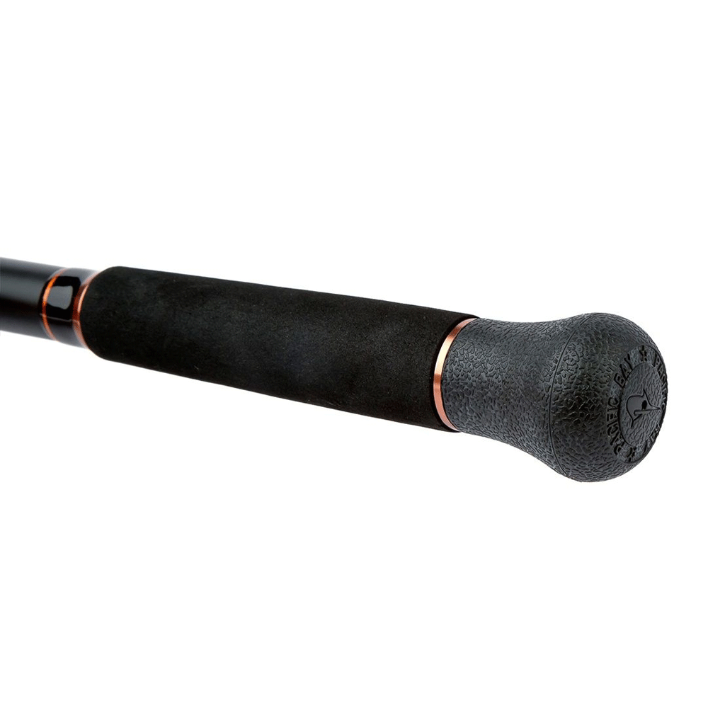 Bild von Shimano Beastmaster Catfish AX spinning