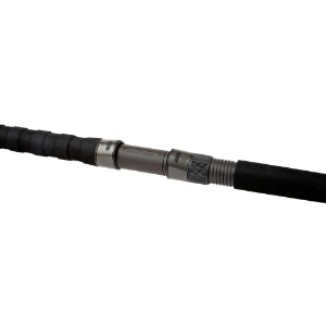 Bild von Shimano Beastmaster Catfish AX spinning