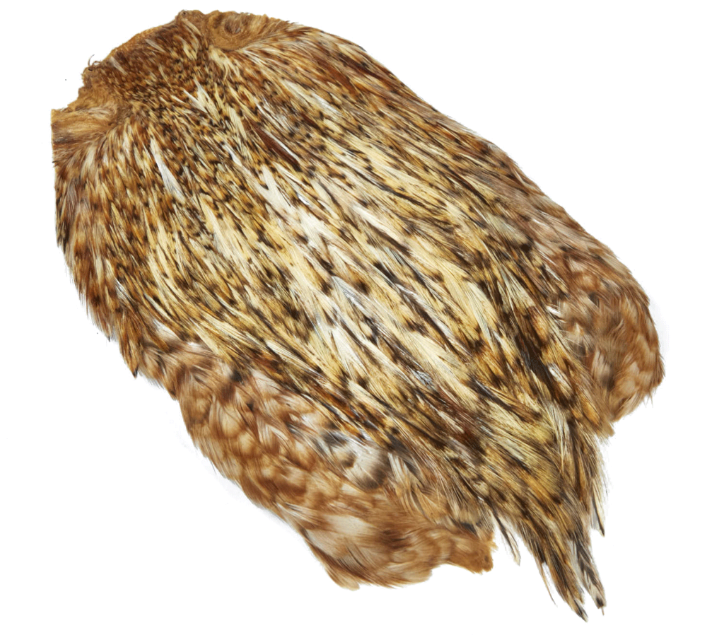 Immagine di JMC Coda di Gallo Indiano Top Grade