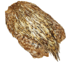 Immagine di JMC Coda di Gallo Indiano Top Grade