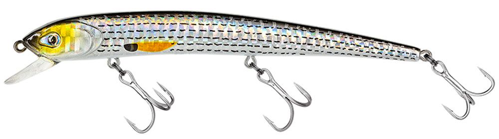 Molix Audace Evo 130 #168 - Cefalo Molix