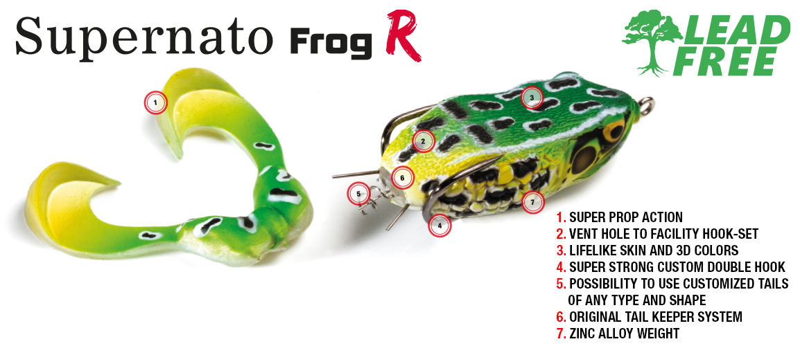 Immagine del prodotto Molix Supernato Frog R