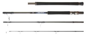 Image de Daiwa Saltiga Airportable