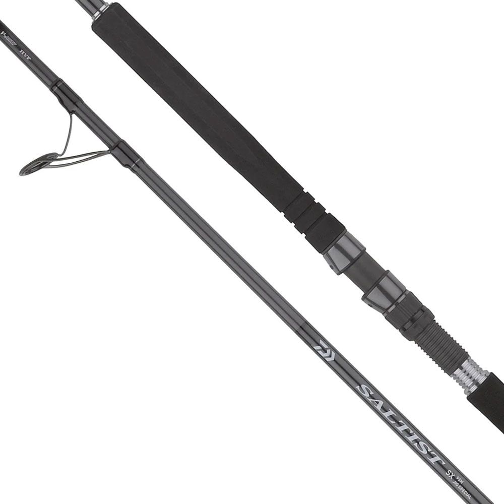 Bild von Daiwa Saltist SX SJ Jig Special