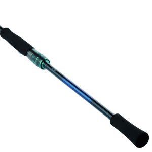 Bild von Daiwa Emeraldas X 25 Spinning