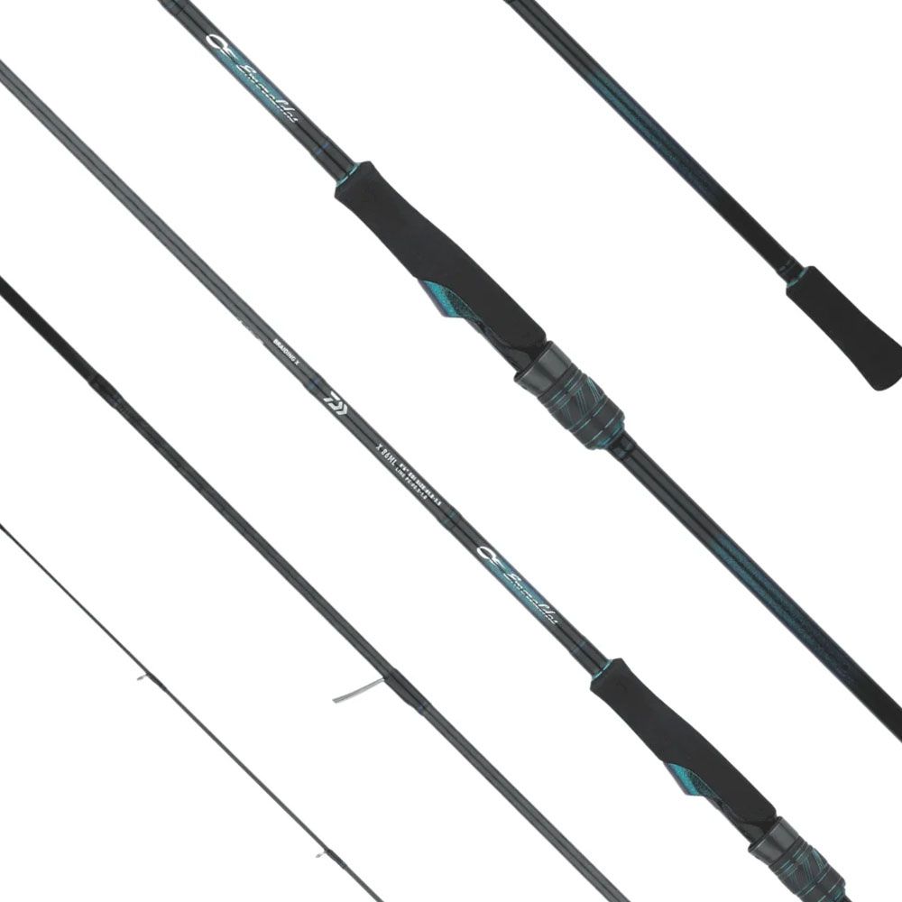 Bild von Daiwa Emeraldas X 25 Spinning