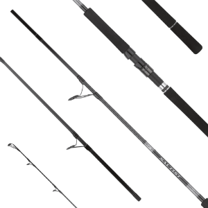 Picture of Daiwa Saltist X SJ spinning