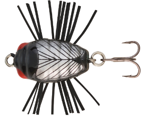 Bild von Sakura Notobug