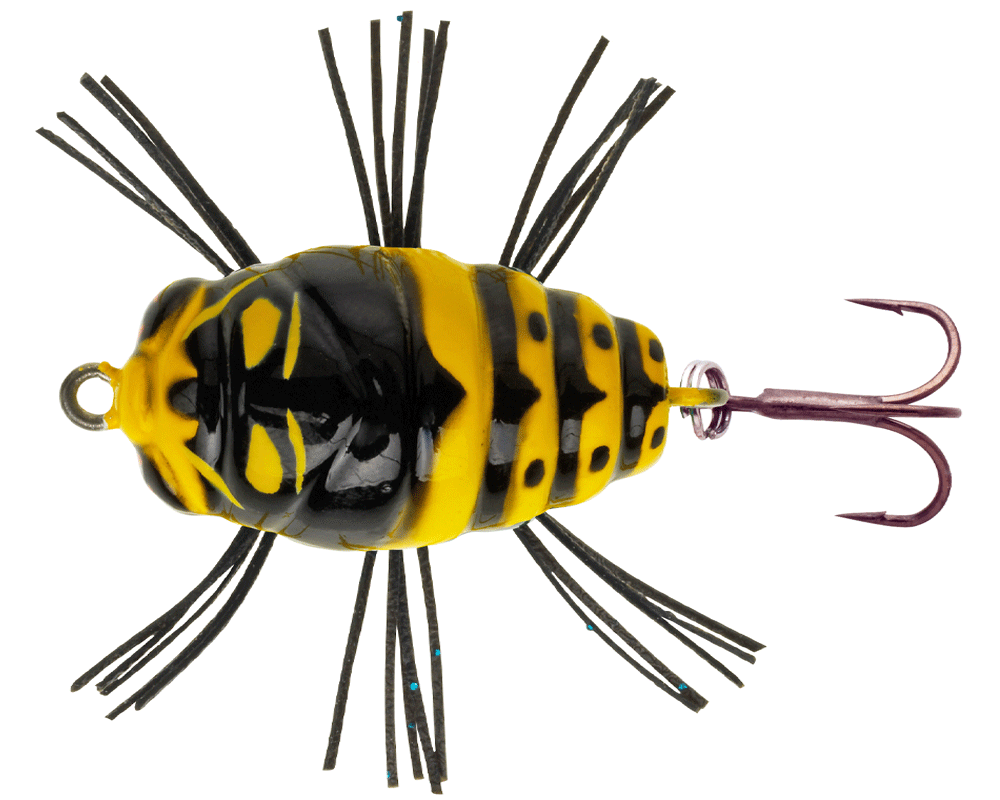 Bild von Sakura Notobug