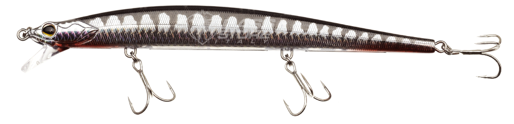 Bild von Sakura Flashkast