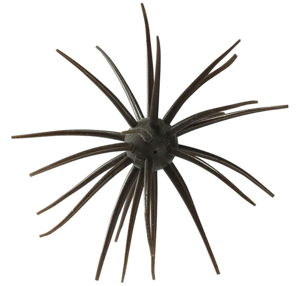 Image de Hideup Coike Kyu