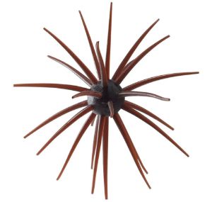 Image de Hideup Coike Kyu