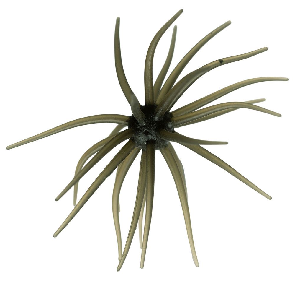 Image de Hideup Coike Kyu