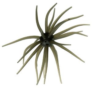 Image de Hideup Coike Kyu