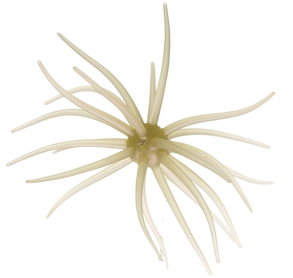 Image de Hideup Coike Kyu