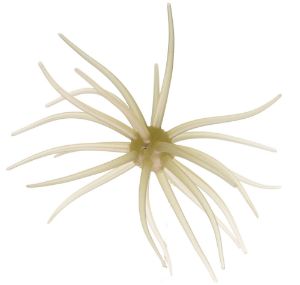 Image de Hideup Coike Kyu