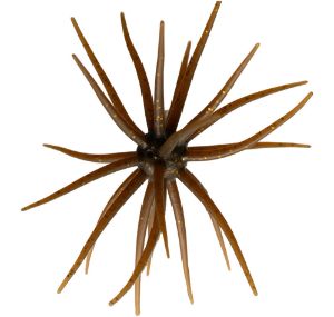 Image de Hideup Coike Kyu