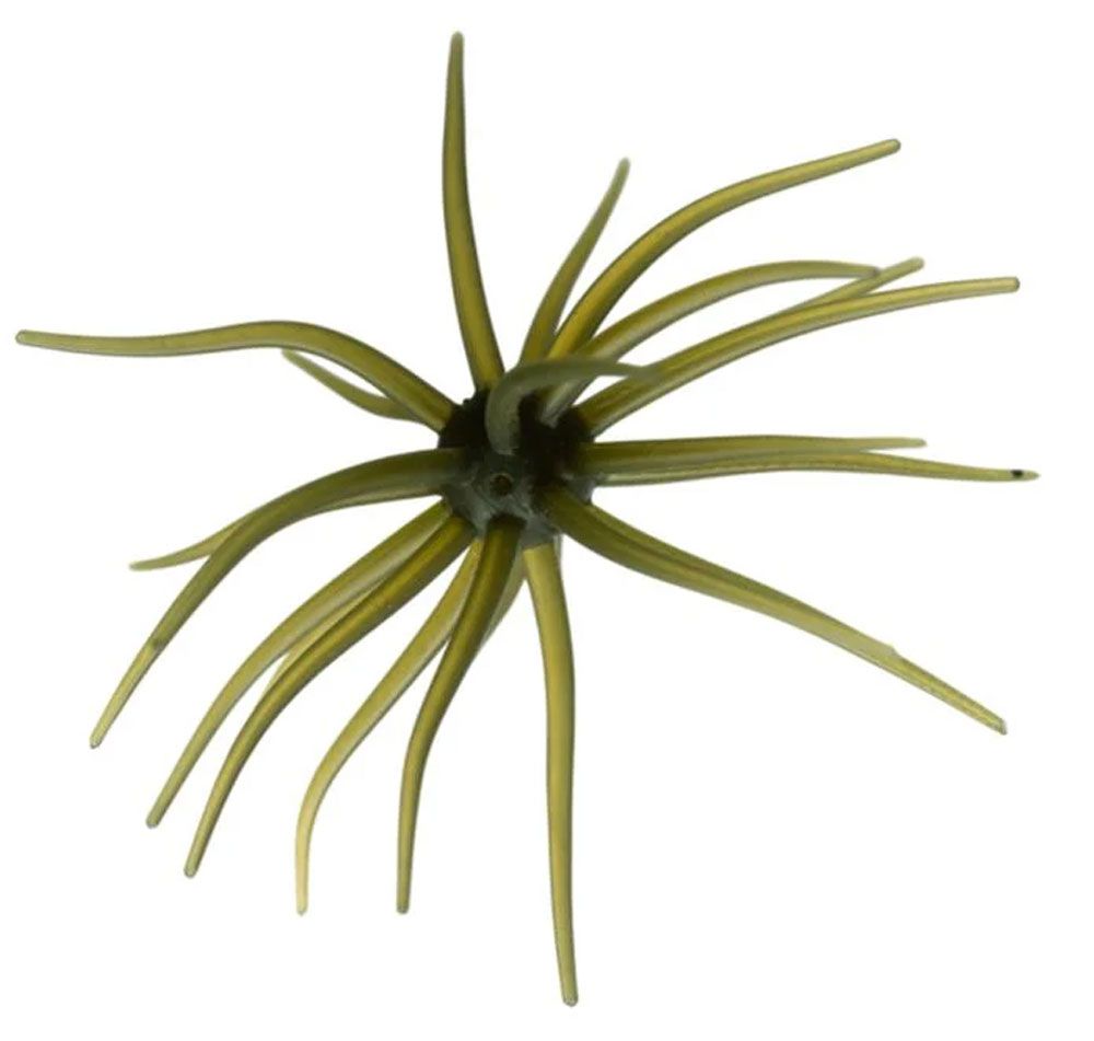 Hideup Coike Kyu #101 Hideup