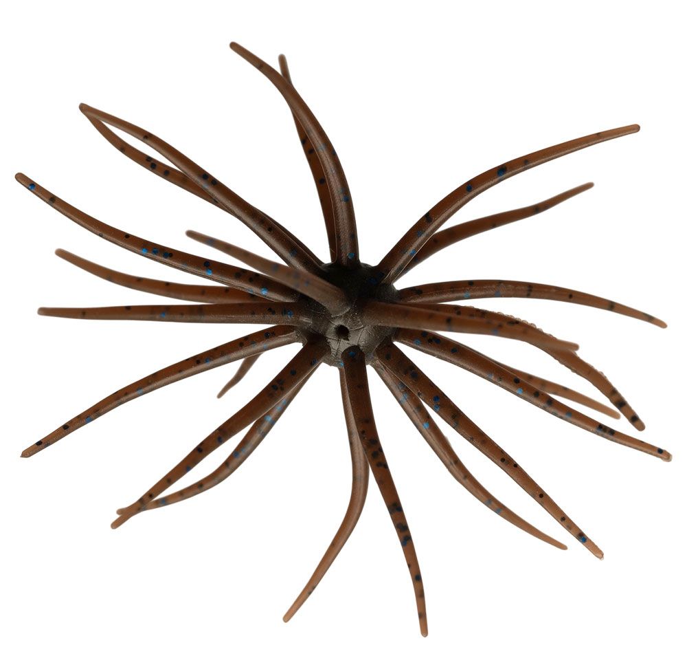 Hideup Coike Kyu #114 Hideup